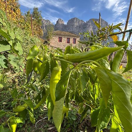 Morfeas Guesthouse Papigko Exterior photo
