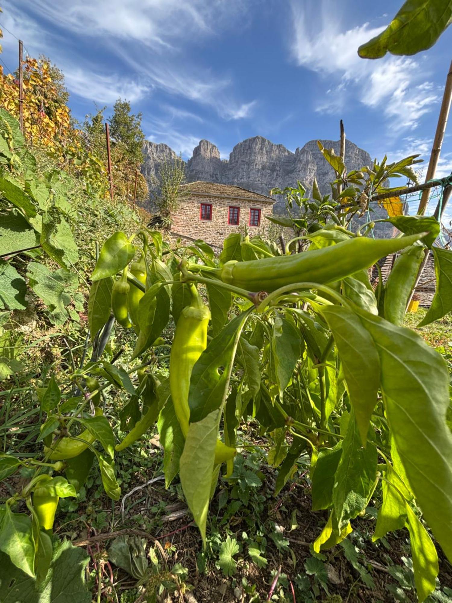 Morfeas Guesthouse Papigko Exterior photo